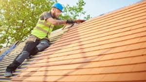 Best Roof Insulation Installation  in Port Isabel, TX
